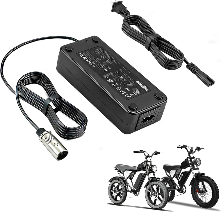 54.6V 2A/3A Charger for Ridstar Q20 Series E-Bike | Fast Replacement Charger